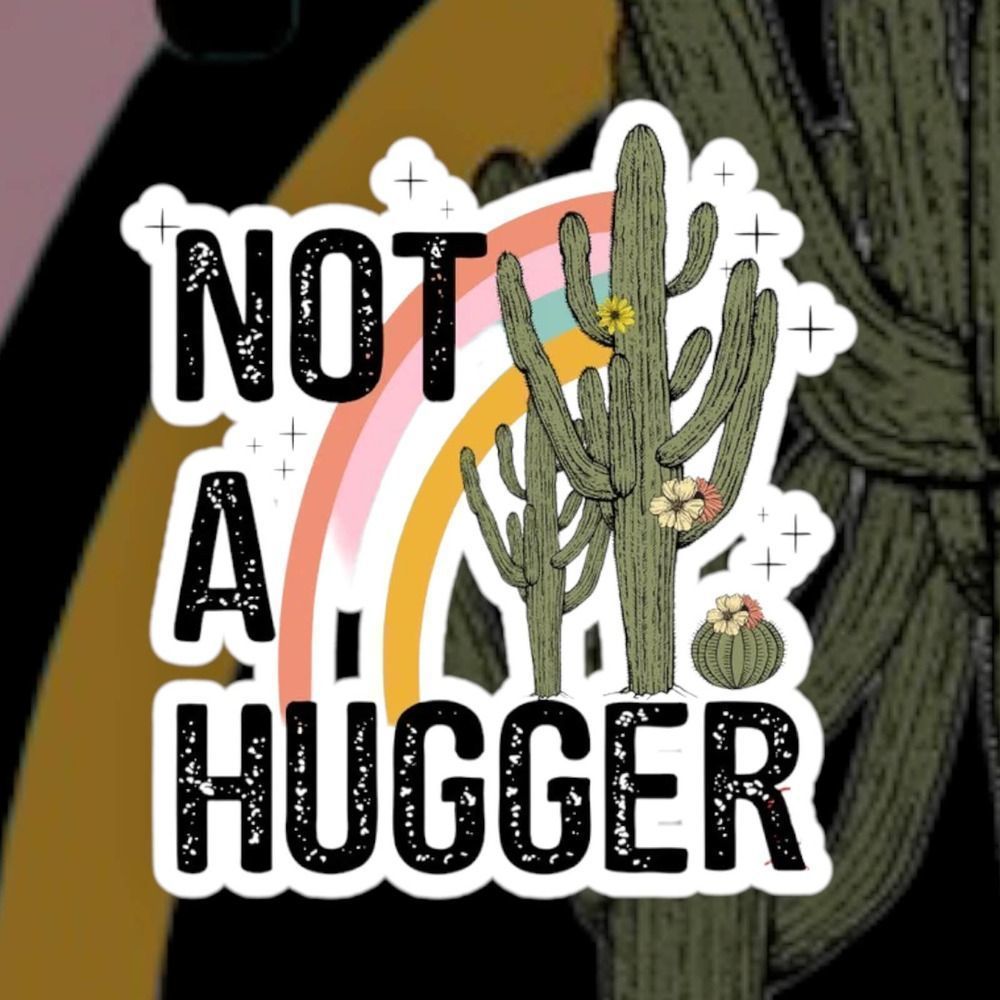 Not A Hugger Boho Cactus Sticker Pack of 3